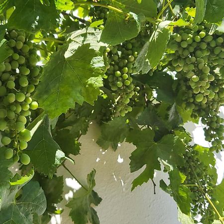 Casa Aventura Ξενοδοχείο Boliqueime Εξωτερικό φωτογραφία
